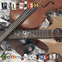 Pillowfish: Common Knowledge